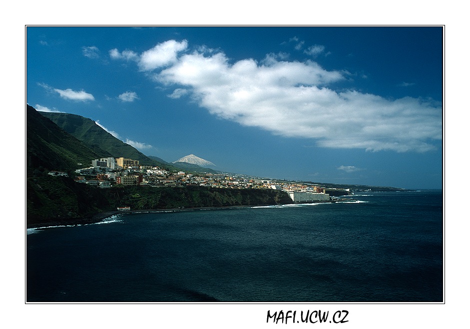 canaria06_03_25 .jpg